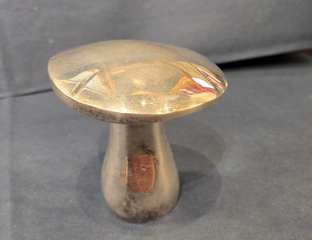 20260313 180920 Tire-bouchon Champignon