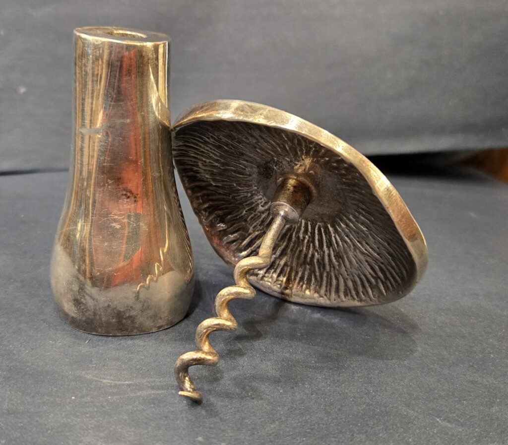 20260313 180940 Tire-bouchon Champignon