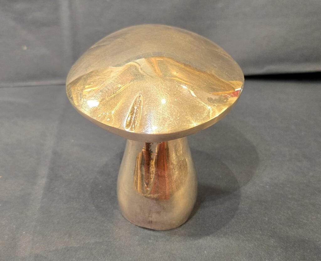 20260313 180957 Tire-bouchon Champignon