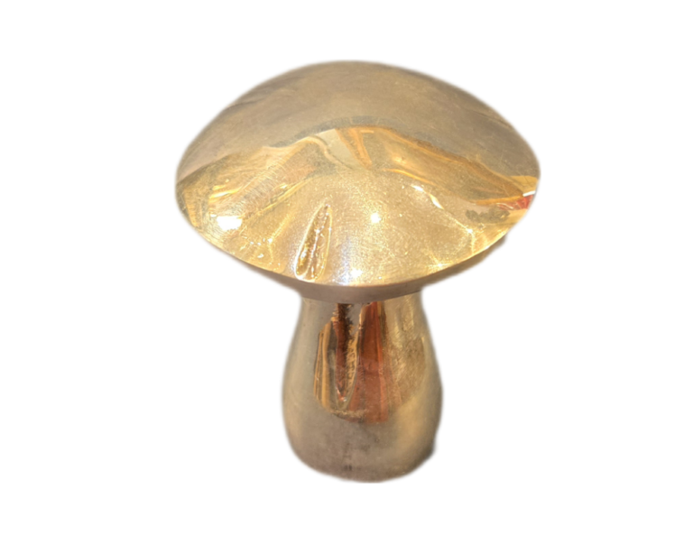 BackgroundEraser 20260313 183309148 Tire-bouchon Champignon