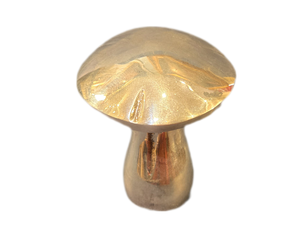 BackgroundEraser 20260313 183309148 Tire-bouchon Champignon